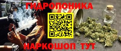 ECSTASY Ливны