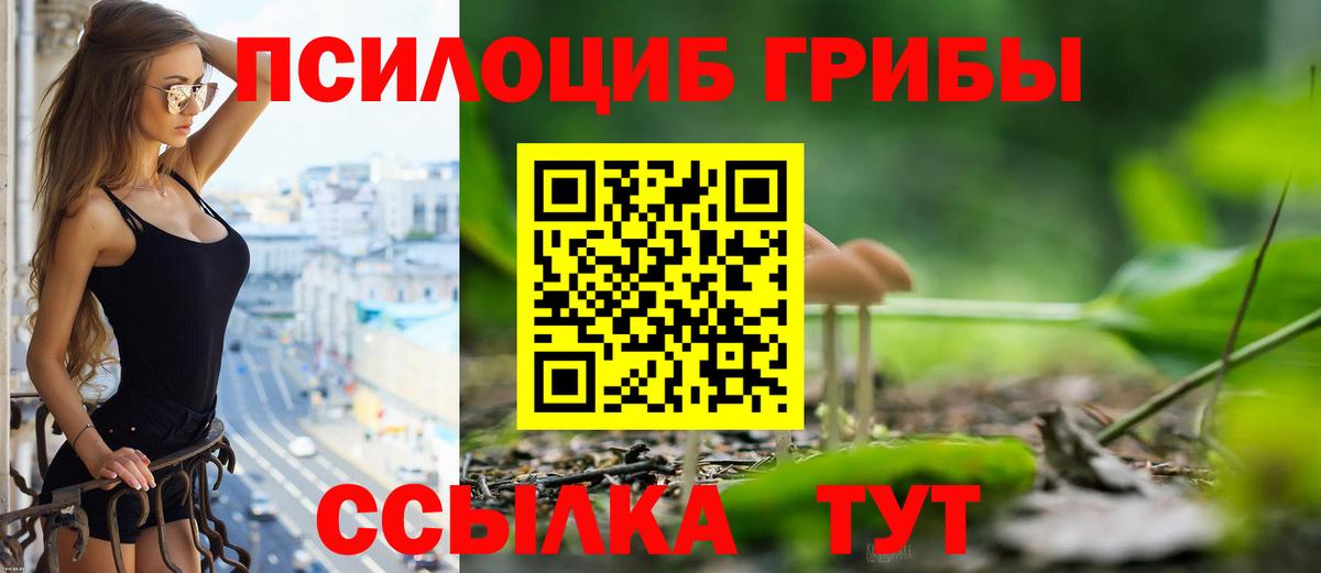 Галлюциногенные грибы MAGIC MUSHROOMS  Вход с VPN  Галлюциногенные грибы Cubensis  Киров 